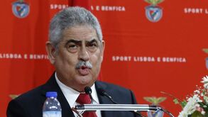 Passivo da SAD do Benfica desce 53 milhões no primeiro semestre da época