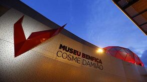 Benfica terá dado emprego no Museu Cosme Damião a sobrinho de funcionário judicial