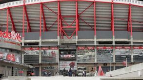 E-toupeira, operação Lex e caso dos emails: o que se sabe sobre os processos que envolvem o Benfica