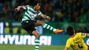 A crónica do Sporting-Rio Ave, 2-0: O brilho da solidez