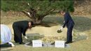 Líderes das Coreias plantaram árvore em sinal de paz