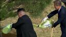 Líderes das Coreias plantaram árvore em sinal de paz