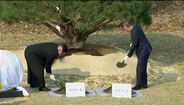 Líderes das Coreias plantaram árvore em sinal de paz