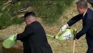 Líderes das Coreias plantaram árvore em sinal de paz