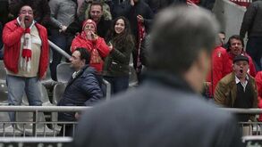 Salvador cita Nobel da Literatura: «Nunca lutes com um porco...»