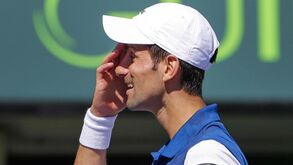 Radek Stepanek deixa de ser treinador de Djokovic