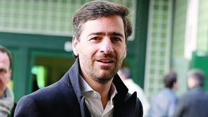 Madeira Rodrigues: «Acabou o tempo das palavras e é hora de agir»