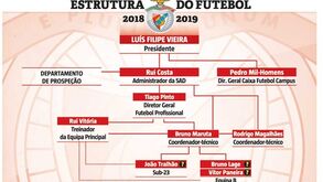Assim vai ser o Benfica 2018/19: quem fica, quem pode sair e quem reporta a quem