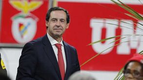 Rui Gomes da Silva admite candidatar-se à presidência do Benfica: «Estou farto disto»