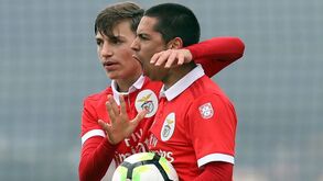 Benfica goleia Sp. Braga por 7-0