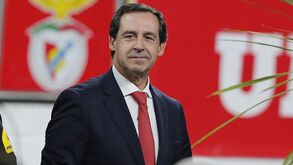 Rui Gomes da Silva: «O nome do Benfica tem que ser limpo»