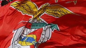 Suspeitas de corrupção no andebol: Benfica quer saber se práticas se estendem a mais modalidades