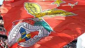 Benfica reage às investigações no Sporting: «Errada perceção de que o crime compensa»