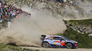 Hayden Paddon