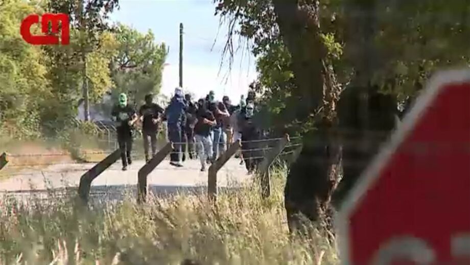 Cerca de 50 fãs dos leões visaram repórteres que estavam presentes