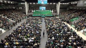 Providência cautelar contra Bruno de Carvalho