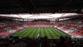 Benfica e o caso dos emails: «Cibercrime altamente sofisticado nunca seria feito de forma graciosa»