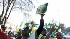 Rússia proíbe tradição da Nigéria de levar galinhas vivas para o estádio