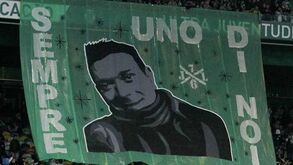 Adiado para setembro de 2019 o julgamento do homem acusado de matar adepto junto ao Estádio da Luz