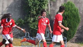 Benfica goleia V. Guimarães (2-9)