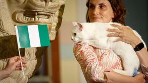 Argentinos recorrem a horóscopo para contrariar gato adivinho
