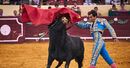 Noite de touros no Campo Pequeno