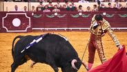 Noite de touros no Campo Pequeno