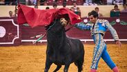 Noite de touros no Campo Pequeno