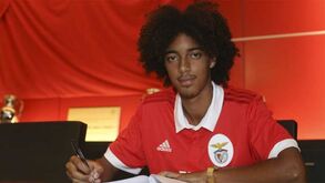 Tomás Tavares assina contrato profissional com o Benfica