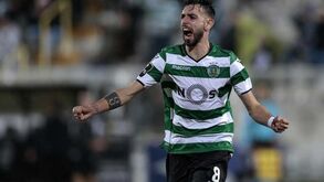 Sousa Cintra: «Bruno Fernandes não quis aumento de ordenado»