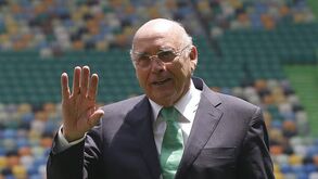 Sousa Cintra: «Slimani? Só aqueles que não acreditam é que desistem»