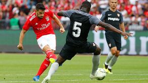 Os jogadores da águia um a um: Pizzi assume o comando