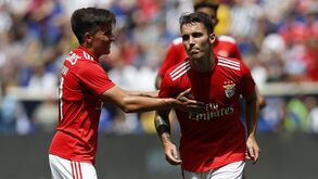 Os três grandes no Facebook: Benfica consolida liderança e Sporting tem o post mais popular