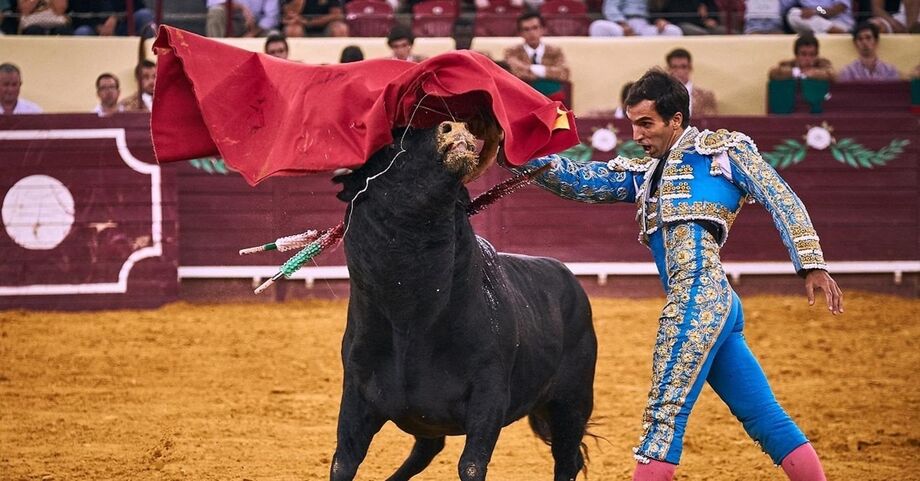 Noite de touros no Campo Pequeno