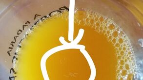 Sumos de laranja com larvas servidos na Padaria Portuguesa geram onda de queixas