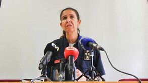 Incêndio de Monchique 