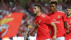As notas dos jogadores do Benfica: do 1 de Ferreyra ao 5 de Pizzi