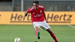 A cronologia de duas semanas intensas para Jonas