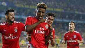Benfica assegura prémio mínimo de quase 8 milhões de euros