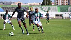 Sporting vence V. Setúbal num jogo com nove golos 
