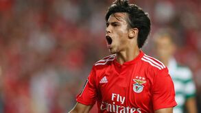 João Félix: «Arrepiei-me quando marquei»