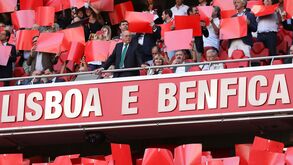 Sousa Cintra na Luz: «Muita gente não gostou mas qual é o problema?»