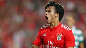 Miúdo de ouro brilha em casa