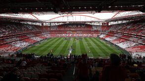 SAD do Benfica desliza mais de 9% em bolsa