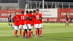 Benfica vence Académica e pressiona Sporting