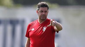 O mercado do Benfica: todas as entradas e saídas