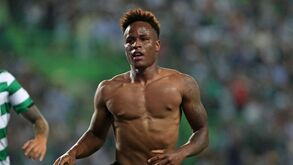 Jovane valorizado com a naturalização