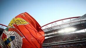 SAD do Benfica estranha situação portista no caso dos emails