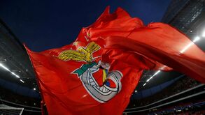 Ações da SAD do Benfica recuperam de queda de perto de 20% esta semana