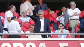 Luís Filipe Vieira volta ao 'ativo' na Luz